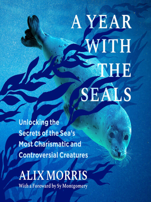 Cover image for A Year with the Seals